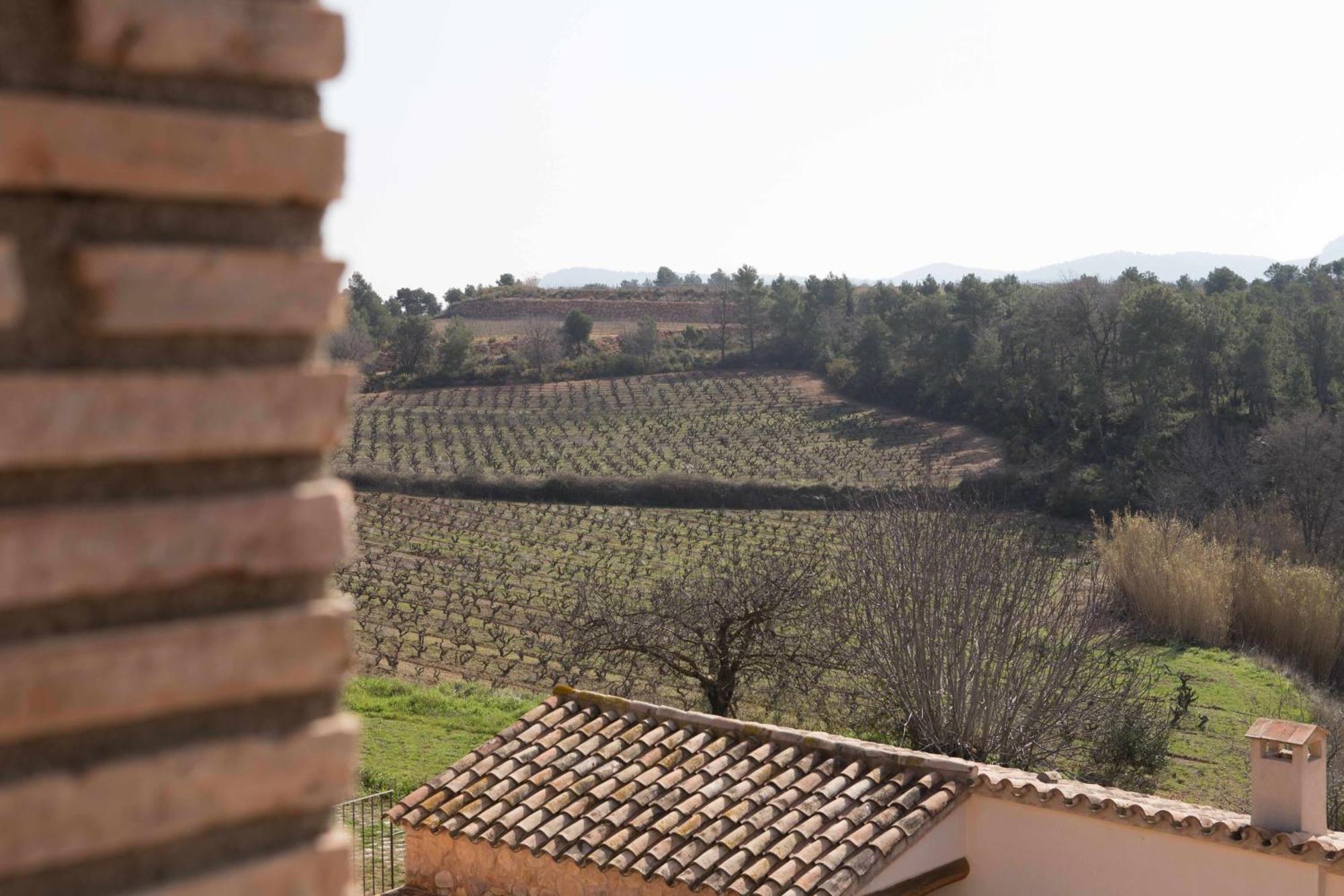 Casa Rural Masia Les Apieres El Pla de Manlleu エクステリア 写真